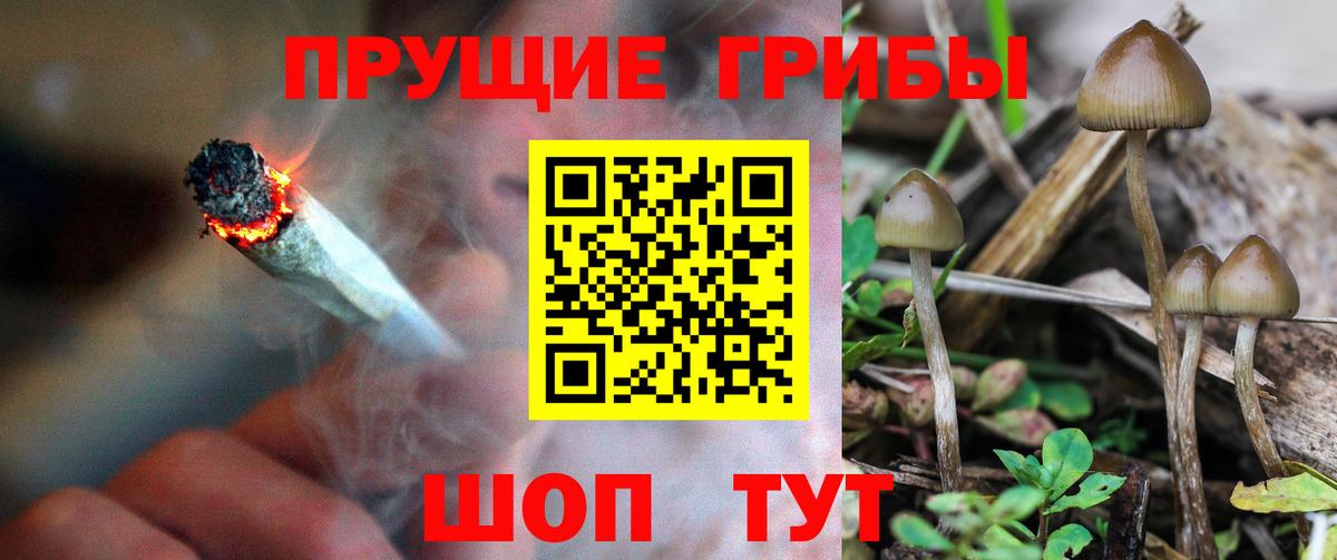 Каменка  Галлюциногенные грибы мухоморы  Вход с VPN 