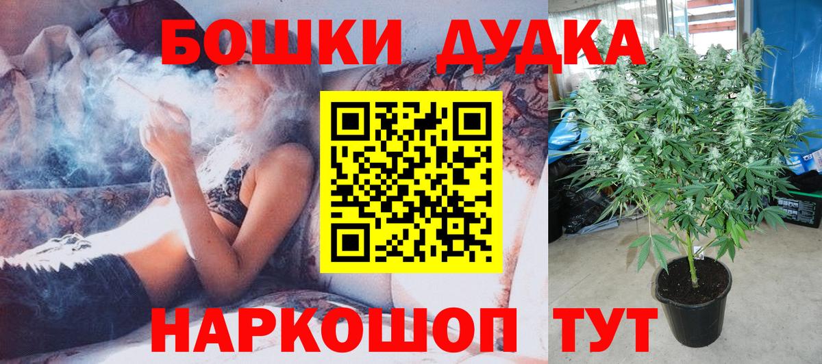 Каннабис индика  Вход с VPN  Конопля ГИДРОПОН  Бошки марихуана AK-47  Каменка 